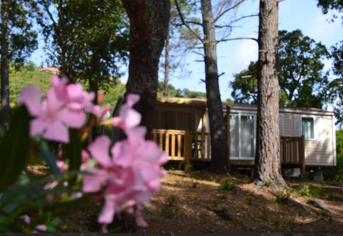 Résidence Les Pavillons du Golfe Favone Extérieur photo